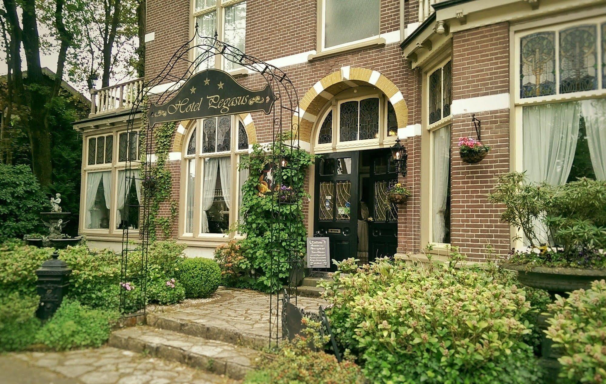 Pegasus Hotel 3*